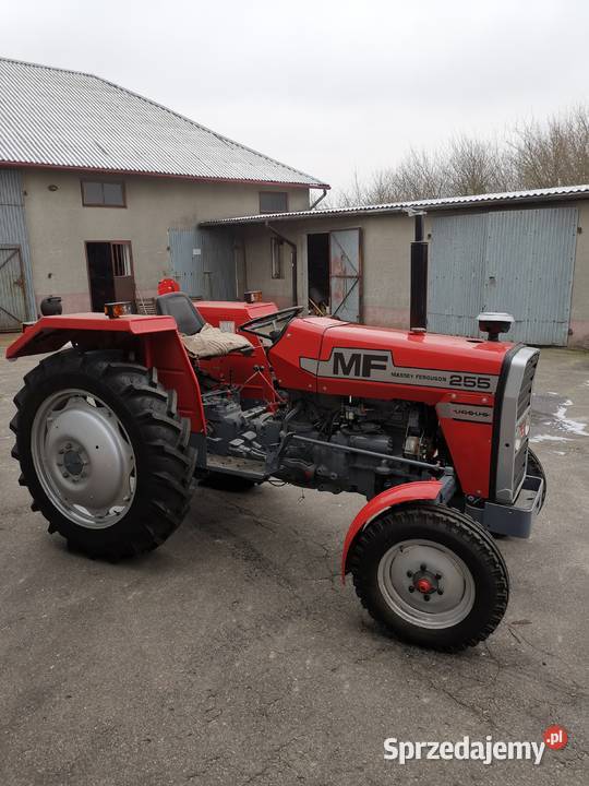 Massey Ferguson 255 Nowy Silnik stan ciągnika łódzkie Lubochnia