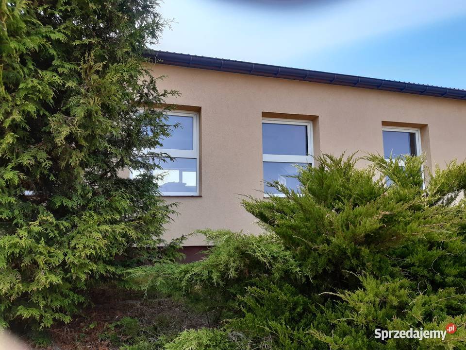 stolarka okienna i drzwiowa Okna ścienne