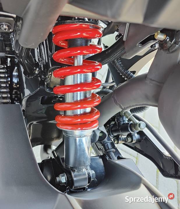 ROMET PONY MONSTER 50 EFI EURO 5 2024 SALON nieuszkodzony Motocykle, skutery, quady sprzedam