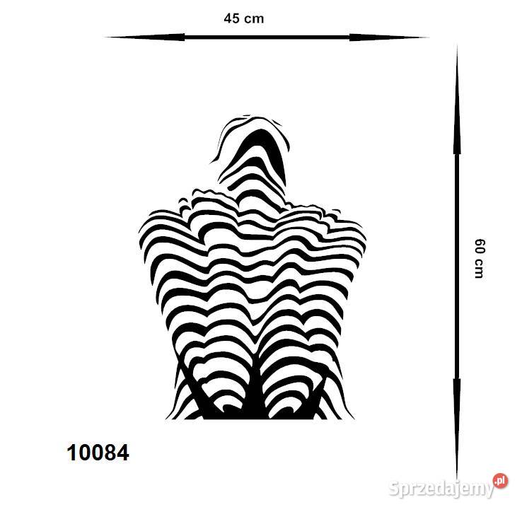 OZDOBNE NAKLEJKI 3d NA ŚCIANĘ 60 X 50 x1 63cmx40 Olsztyn sprzedam