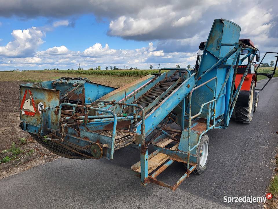 Kombajn zbieracz do ziemniaków cebuli Bolko Z Osięciny