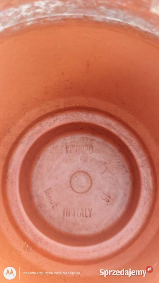 Donica włoska Ciechanów