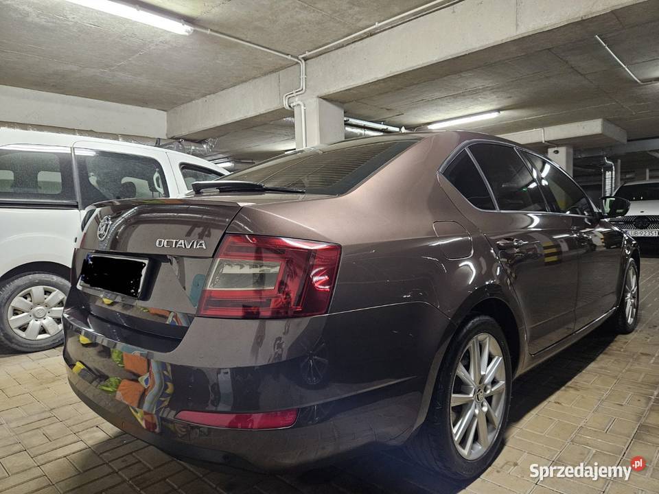 Skoda Octavia serwisowany w ASO Piaseczno