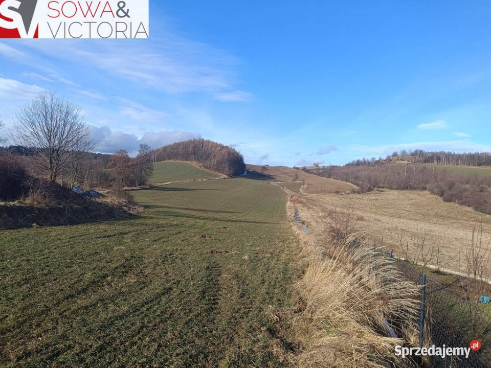 Działka rolna w dolnośląskie Pogorzała sprzedam