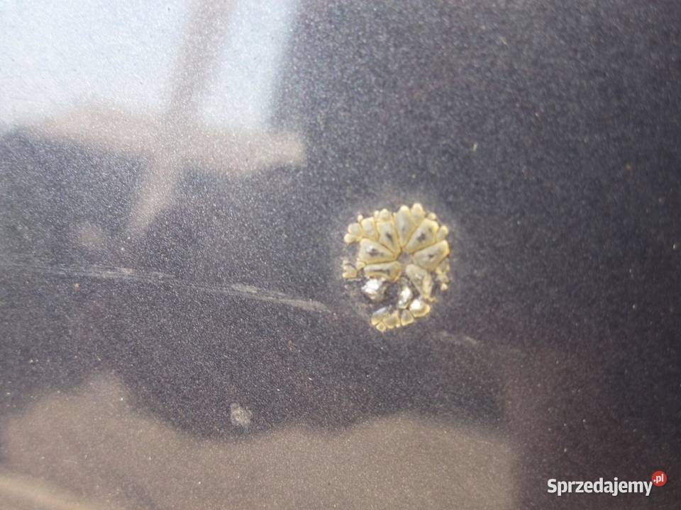 FORD MONDEO MK4 IV 10r maska sprzedam