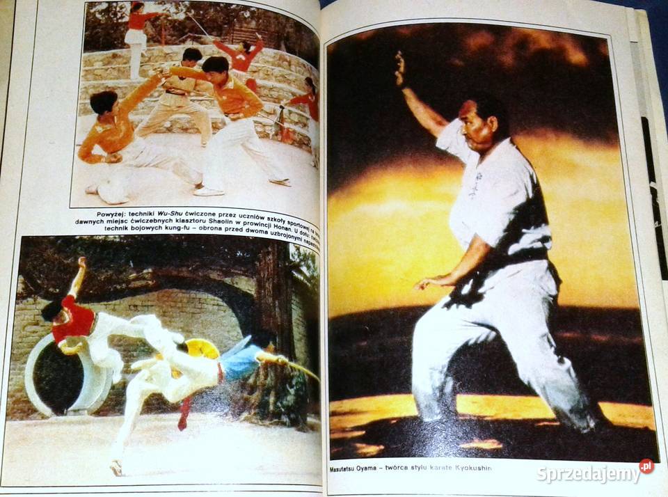 Tajemnice Kung Fu Marian Butrym Wisława Orlińska miękka lubelskie Chełm