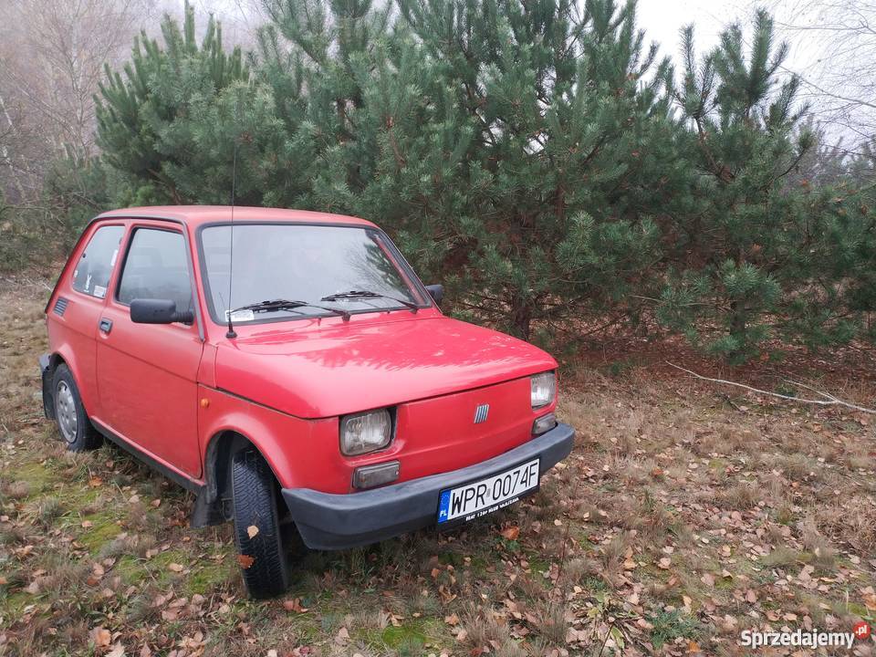 Mój mały Fiacik Warszawa