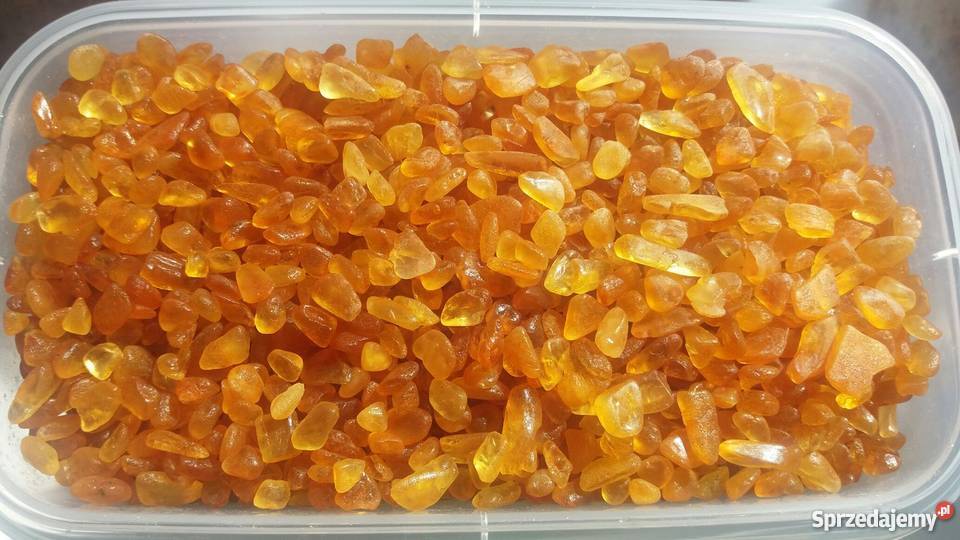 Sprzedam bursztyn bałtycki jasny i czysty pomorskie Gdańsk