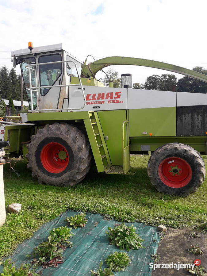 Sieczkarnia do kukurydzy Claas jaguar 695sl Stróże