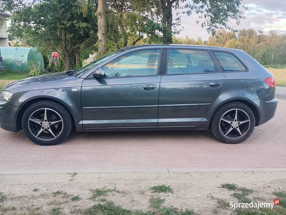 Audi A3 8p 5d 19tdi Goraj