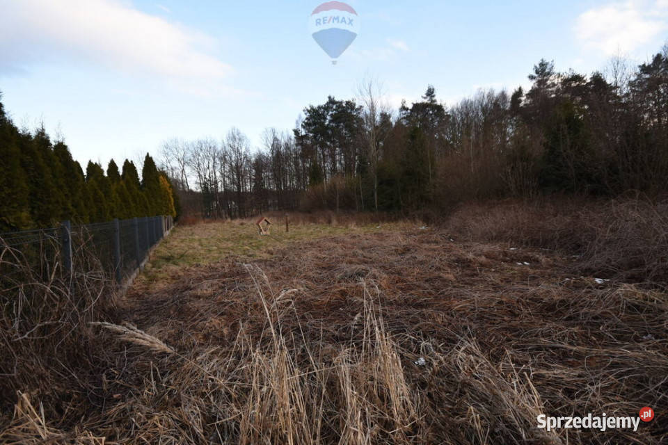 Działka budowlana lesie Kobiór 117 ar polna