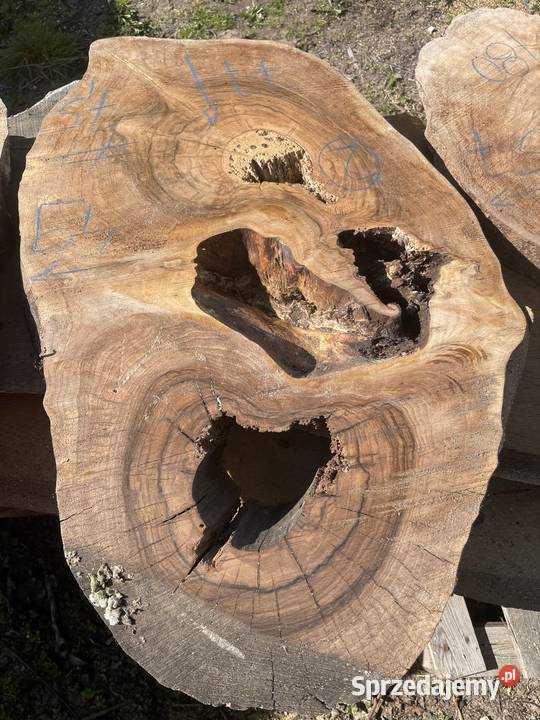 Plaster jesion orzech stolik kawowy live edge Stoliki kawowe i ławy Przysucha sprzedam