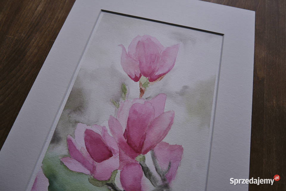 Ulotna magnolia akwarela w passepartout format Łódź