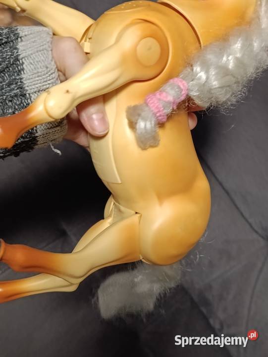 interaktywny koń Poznań