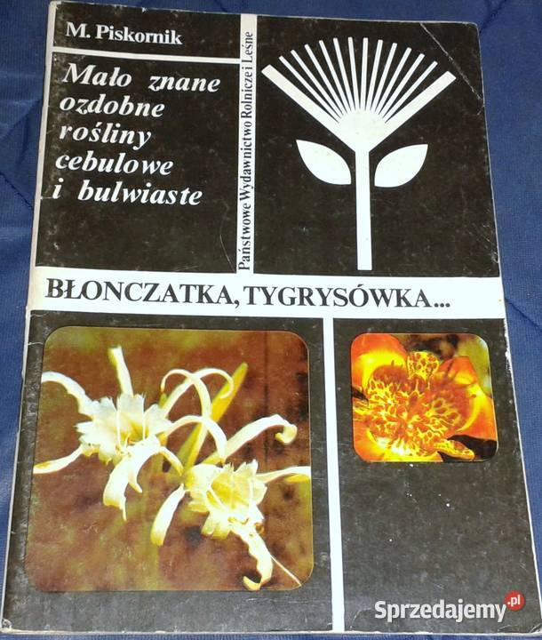 Mało znane ozdobne rośliny cebulowe i bulwiaste lubelskie Chełm