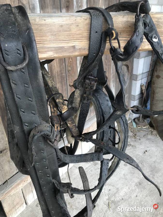 Chomąto i uprząż konia Wólka Bałtowska