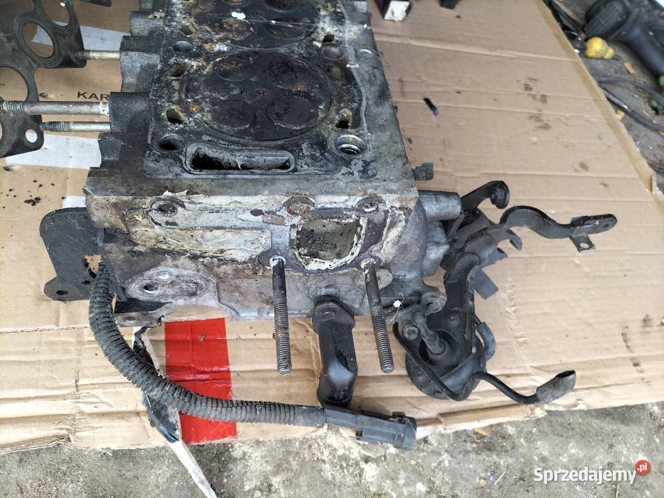 głowica silnika 22 HDI citroen C5 C8 peżot 607 Kamień-Kolonia