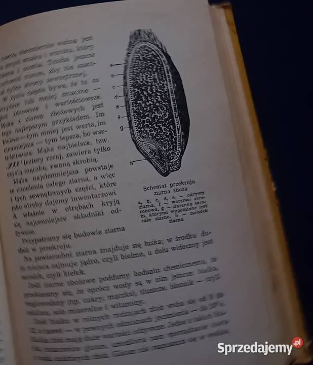 Irena Gumowska My i nasz dom WP 1956r Wydanie Koźminek
