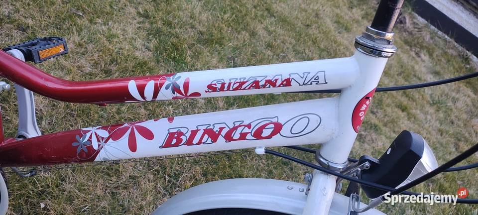 Rower dziecięcy Bingo Suzana 24 Dziecięce Zielonki