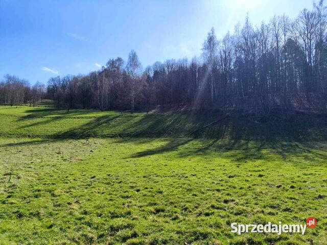Działka 5305m2 Piechowice