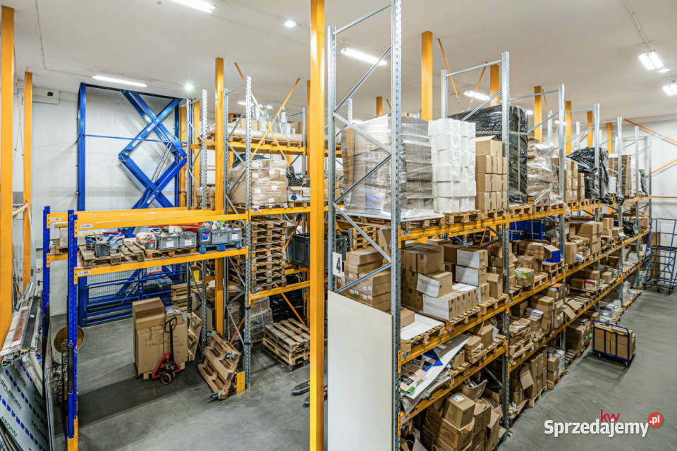 Lokal Poznań Polska 60m2