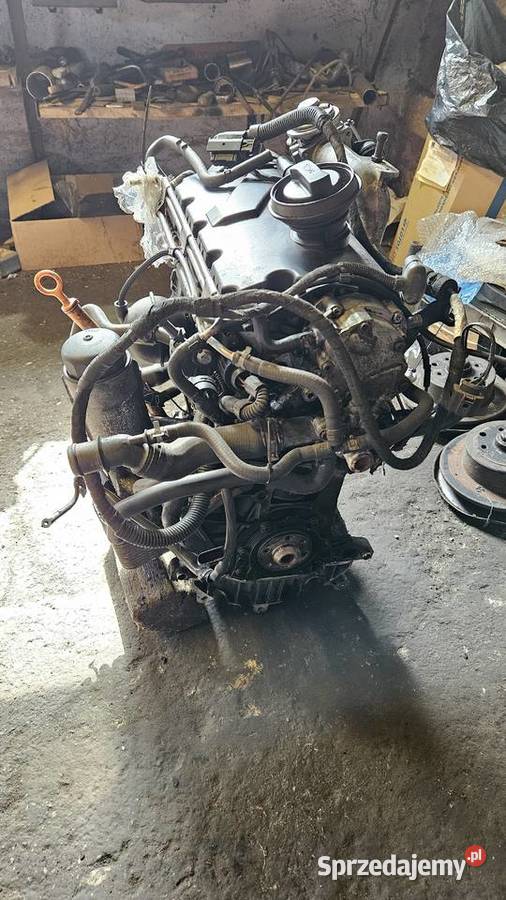Silnik 19 Tdi PD AJM 115 pompowtrysk osobowe Orchowo