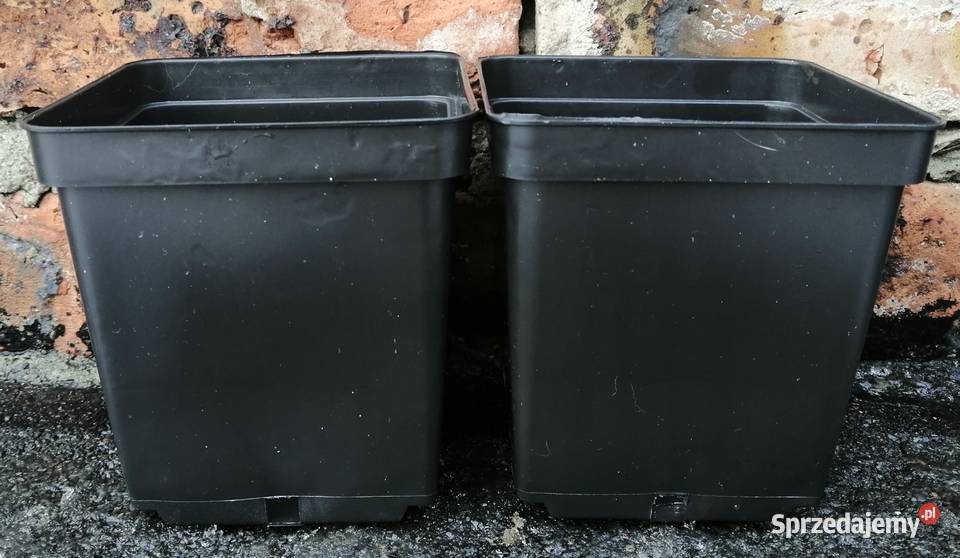 Doniczki produkcyjne P11 11x11x12 1L Siewierz sprzedam