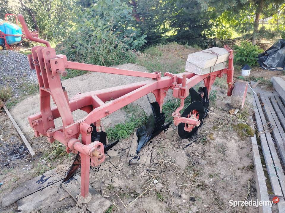 Rosiewicz Kos Motyl Pugi 3 Bodzentyn sprzedam