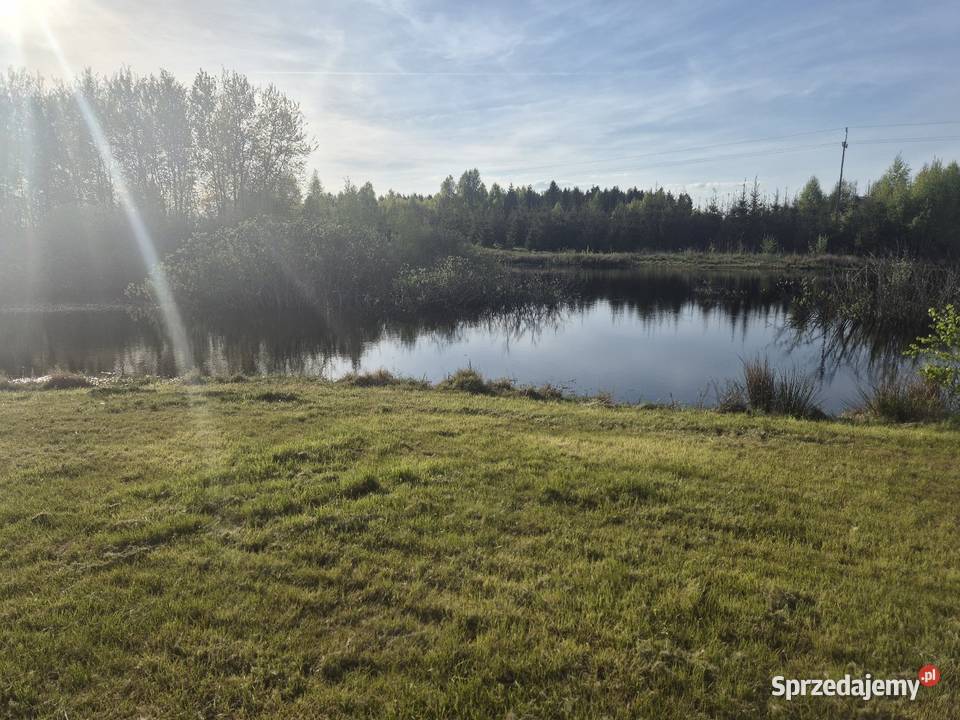 Łowisko prywatne bagno z rybami skrzydłowo 83404