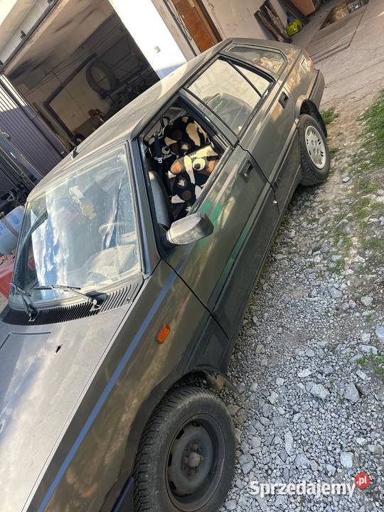 Polonez Caro 16 lubelskie Zamch