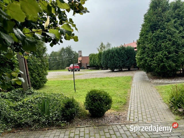 Duży lokal Agroturystyka z mieszkaniem 500m2 Sprzedaż Krasna Łąka
