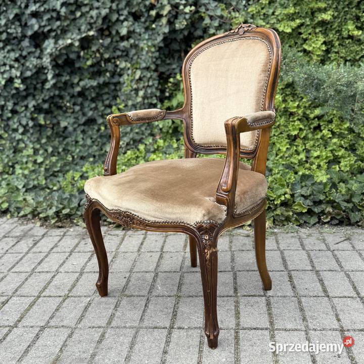 ARTexpert Wygodny Pałacowy fotel Ludwik welur Meble Dobrzany