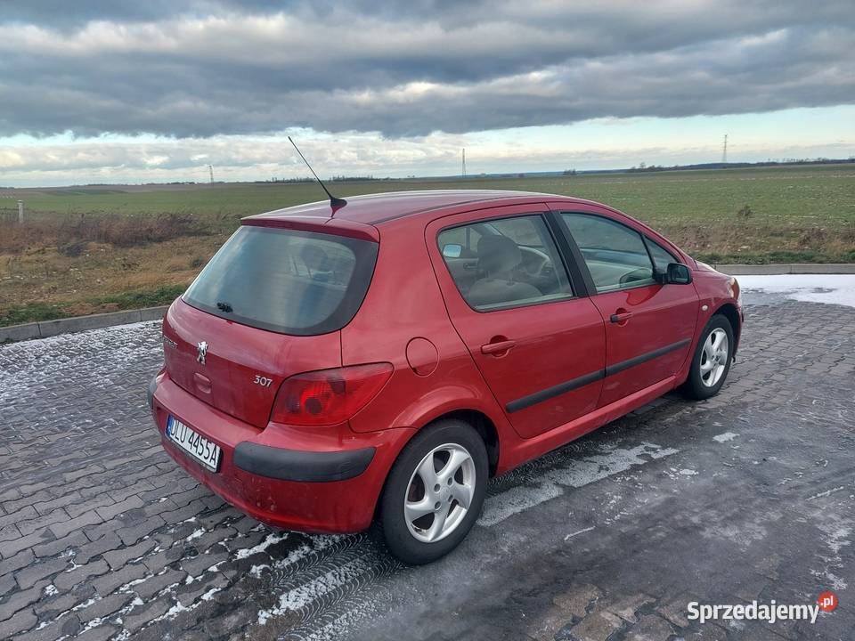 Peugeot 307 16 LPG ekonomiczny bez korozji manualna Złotoryja