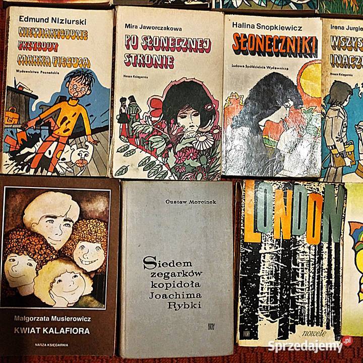 literatura młodzieżowa Bukowno sprzedam