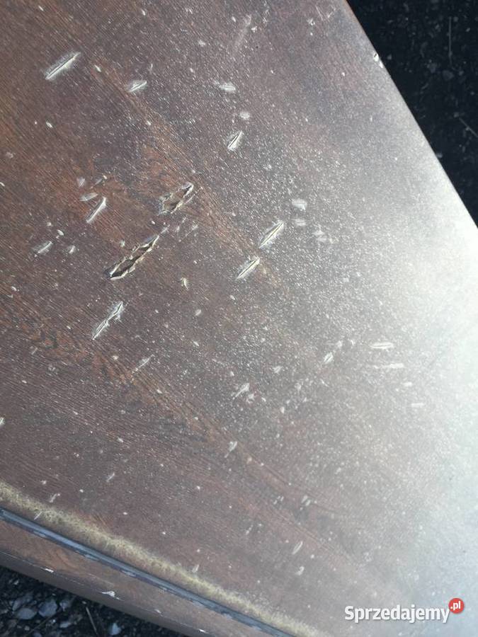 Panel bramy segmentowej ZŁOTY DĄB ORZECH Gatunek Kielce