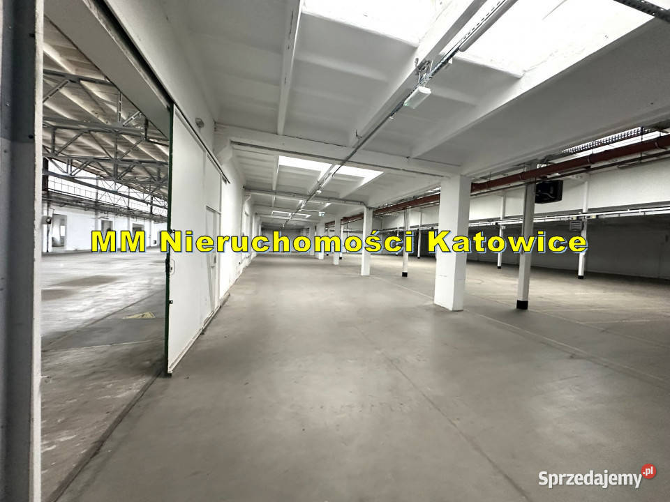 Hala do wynajęcia Katowice centrum dojazd 1238m2