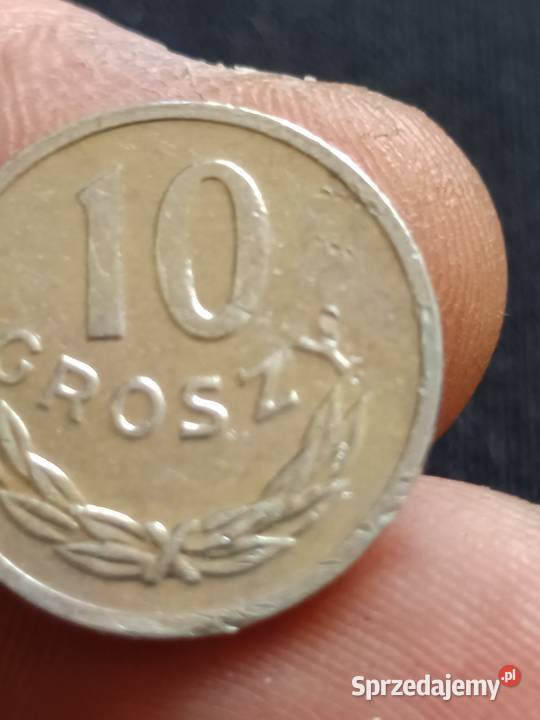 Sprzedam 10 gr 1980 r mala skretka Chełm