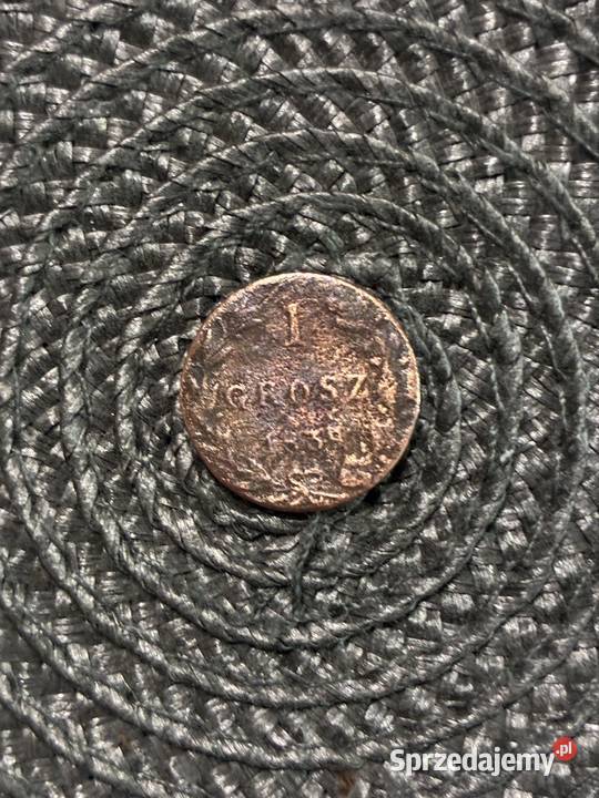 Mineta 1 grosz 1839 Numizmatyka Puławy