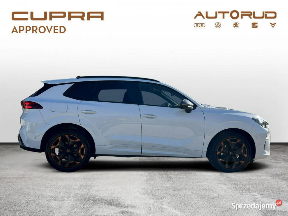 Cupra Terramar 15 eTSI 150 DSG 2024 Bezwypadkowy klimatyzacja Kielce