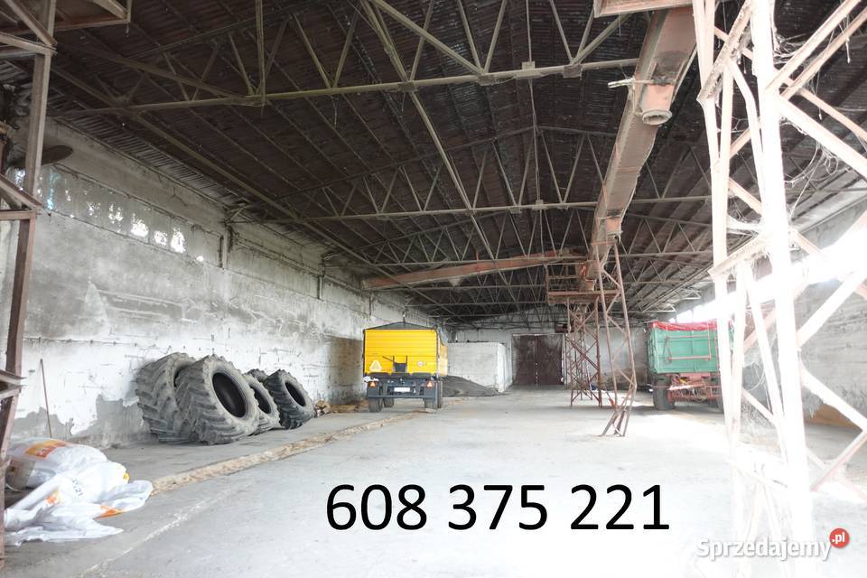 Podajnik zbożowy radler taśmowy przenośnik