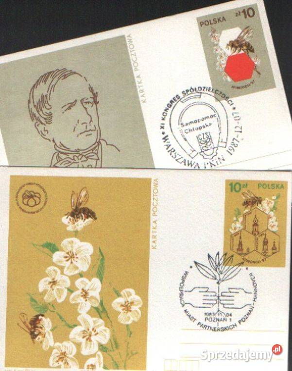 Kart Cp 961 2 kas 1987