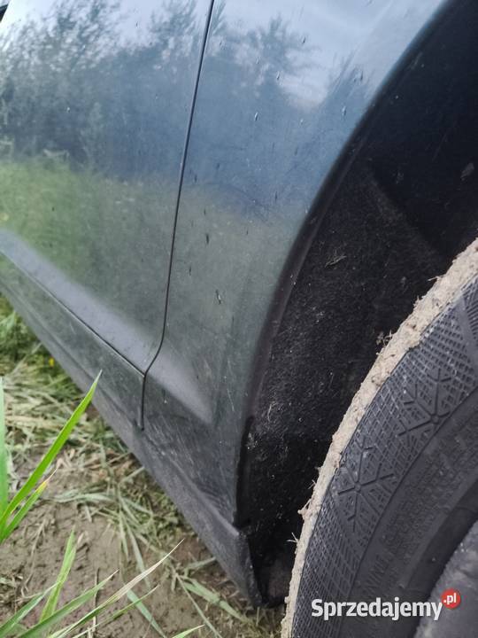 Dzwi Audi A6 C6 LZ7R kod lakieru Przemyśl sprzedam