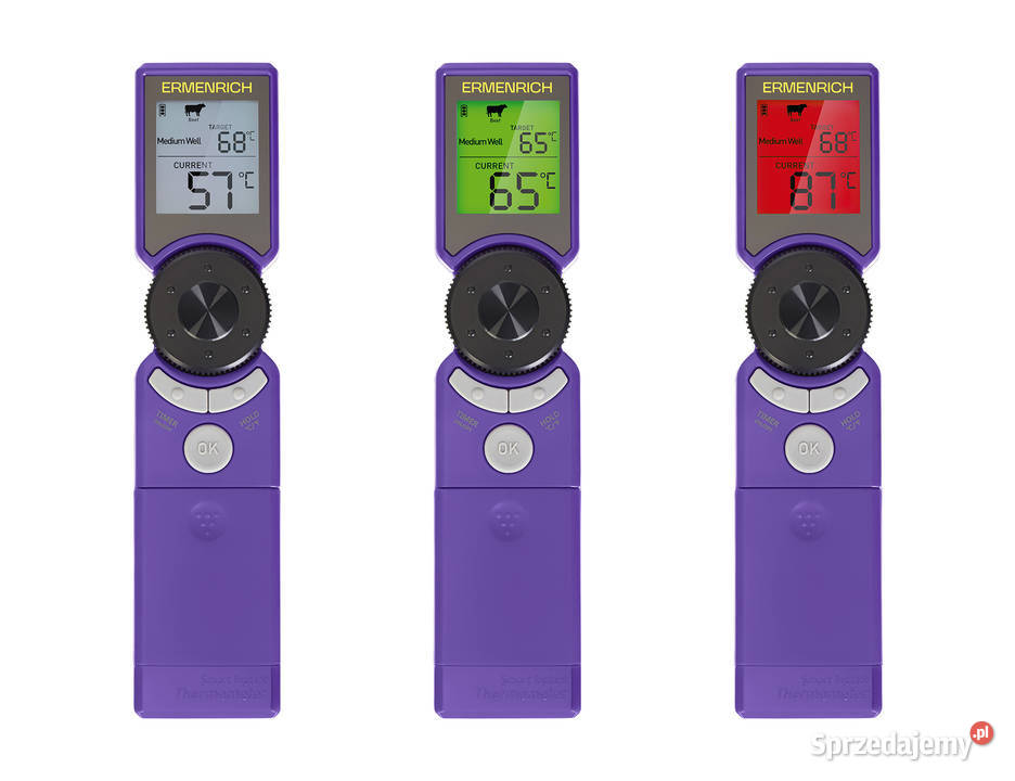 Termometr do mięsa Ermenrich BBQ GT10 mazowieckie Warszawa