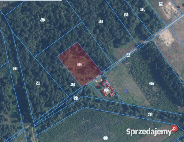 Działka w Babsku Twoja enklawa wolności Babsk