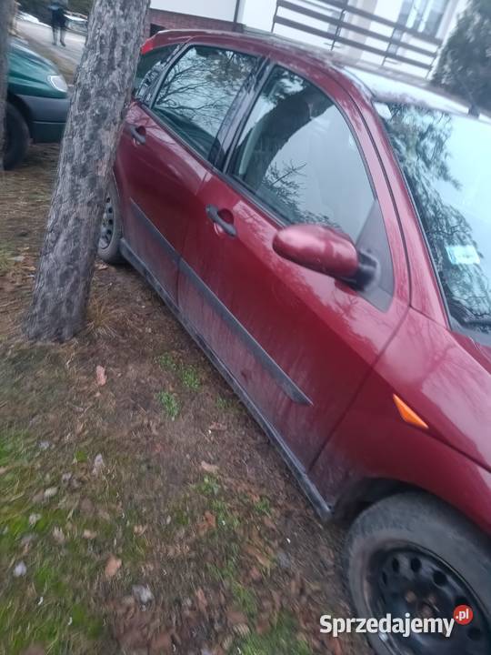 Ford focus Bykowszczyzna