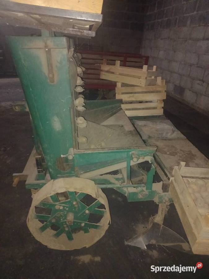 Sadzarka 2 rzędowa podwójne taśmy nadstawka Błaszki