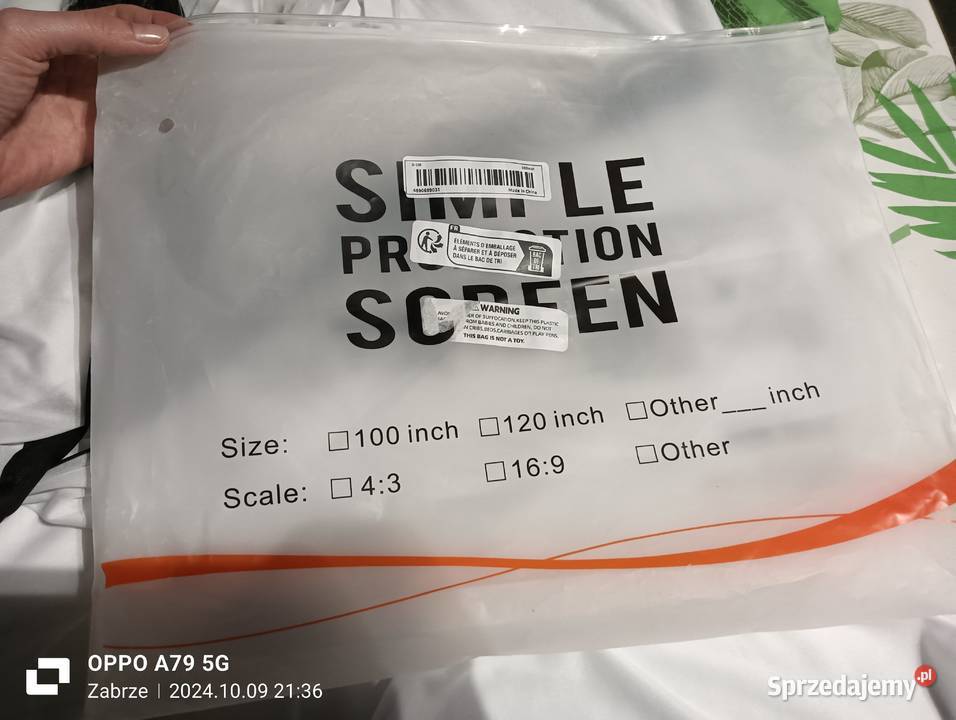 Ekran projekcyjny4K 100 Pozostałe