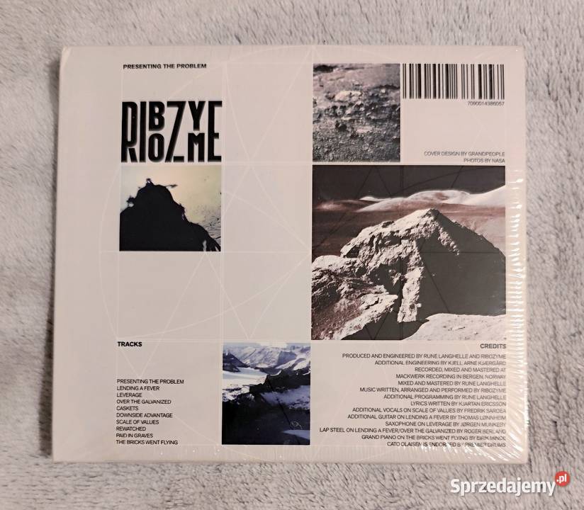 Ribozyme Presenting The Problem CD alternative