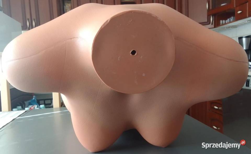Manekin Tors Damski Długi Beżowy Plastik Rewal sprzedam