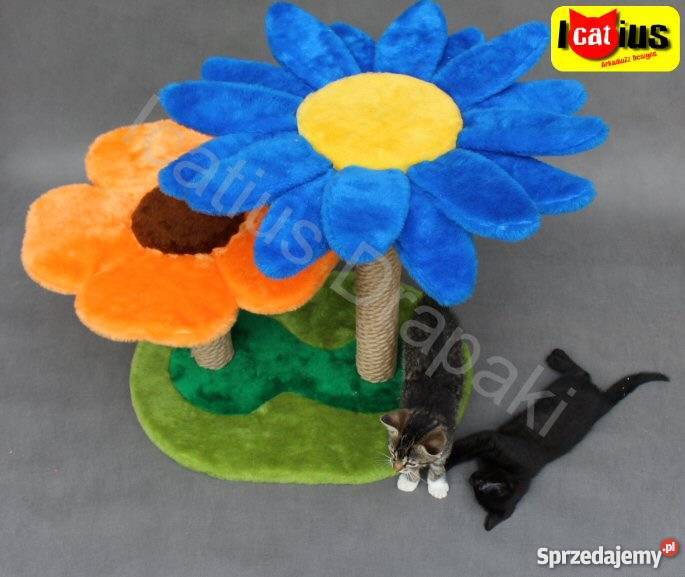 Drapak kota Icatius Wyjątkowy Łódź